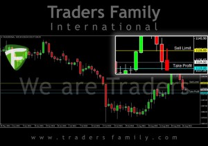TF-Gold-27-Agustus