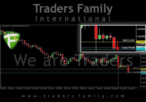 TF-NZDUSD-1-September