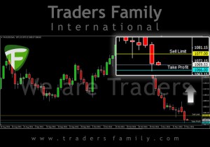 TF-Gold-18-November
