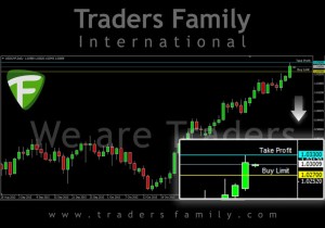 TF-USDCHF-30-November
