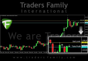 TF-Gold-24-Februari