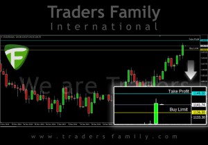 TF-Gold-4-Februari