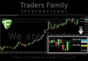 TF-Gold-17-Maret