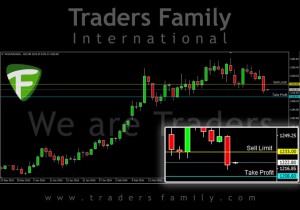 TF-Gold-24-Maret