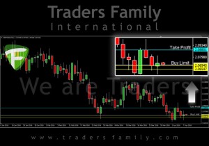 TF-GBPNZD-8-April