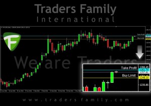 TF-Gold-12-April