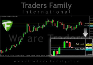 TF-Gold-14-April