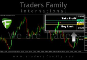 TF-USDCHF-25-April