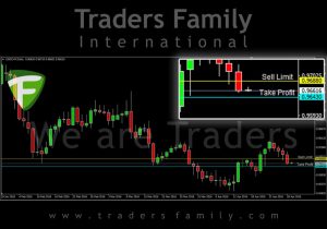 TF-USDCHF-29-April