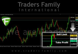 TF-NZDUSD-13-Juni