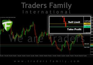 TF-USDCHF-8-Juni