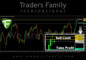 tf-usdchf-17-november