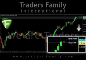 TF-USDCHF-19-November