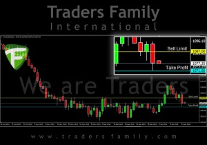 TF-Gold-15-Januari