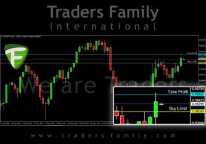 TF-USDCHF-11-Juli