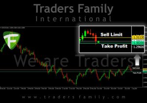 TF-USDCAD-daily-limit-1-Aug