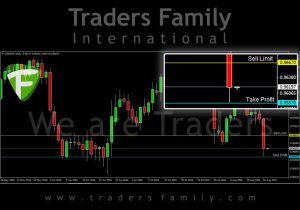 TF-USDCHF-17-Agustus