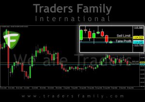 tf-eurjpy-19-september