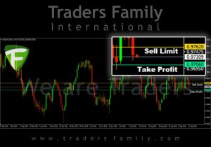 tf-usdchf-22-september