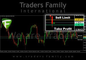 tf-usdchf-23-september