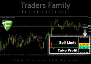 tf-xauusd-12-september