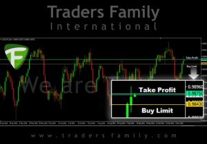 tf-usdchf-11-november