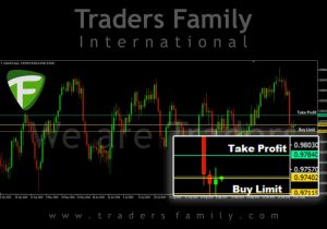 tf-usdchf-4-november