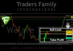 tf-usdjpy-22-november