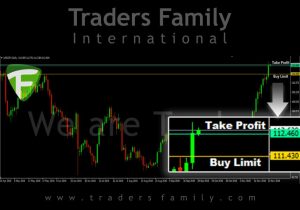 tf-usdjpy-24-november